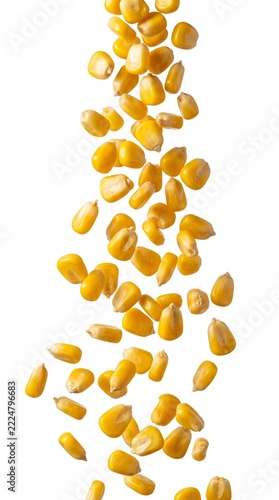 Golden corn kernels falling in a vertical stream against a bright, clean white background