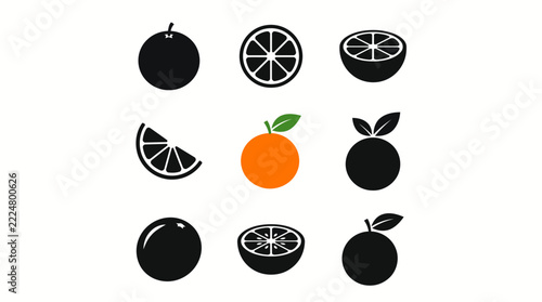 Orange fruit icon collection in flat vector style