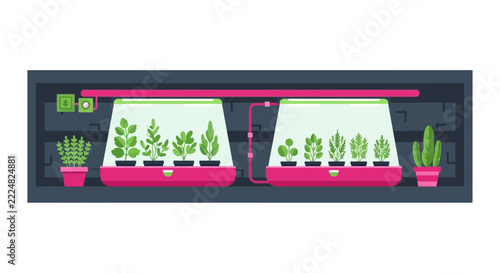 Flat Illustration of Modern Smart Indoor Hydroponic System for Growing Herbs and Plants Under LED Lights