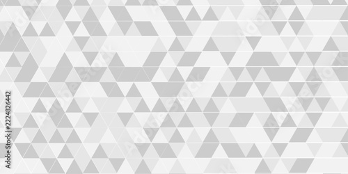 Vector paper abstract white and gray randomly low polygon triangle web card design creative wallpaper. Polygon mosaic template banner corporate background.