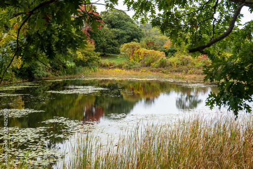 Vibrant Autumn Colors Reflected in a Quiet Forest Pond