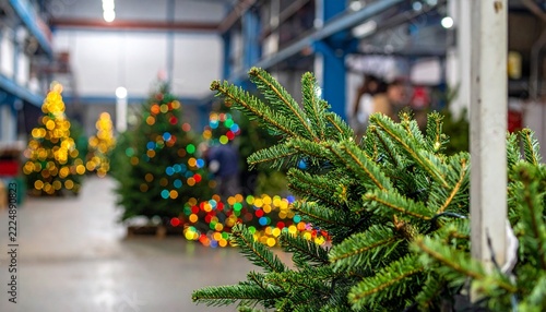 Inside a Christmas tree factory warehouse 