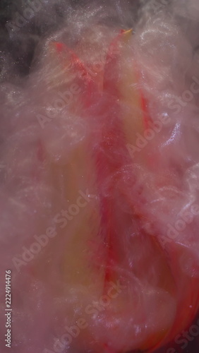 Vertical video. Paint water flower. Abstract fume. Defocused pink color wet smoke shiny fluid orange yellow tulip plant nature on background.