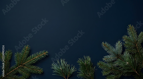 Isolated evergreen pine branch with needles for holiday winter graphic design