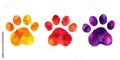 Watercolor cat's paw print Colorful сat, dog, animal footprint set Single element for design