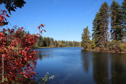 fall colors on the lake, William Hawrelak Park, Edmonton, Alberta