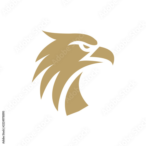 Simple eagle Head Logo Icon Vector.
