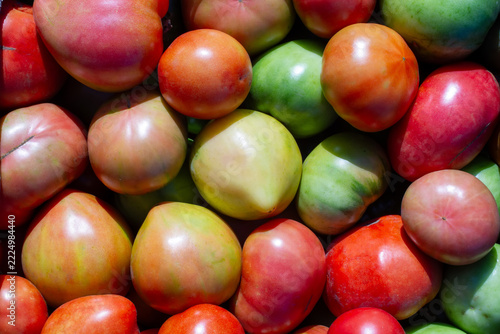 Close-up of a colorful assortment of fresh ripe and unripe tomatoes in red, green, orange, yellow, and pink shades.