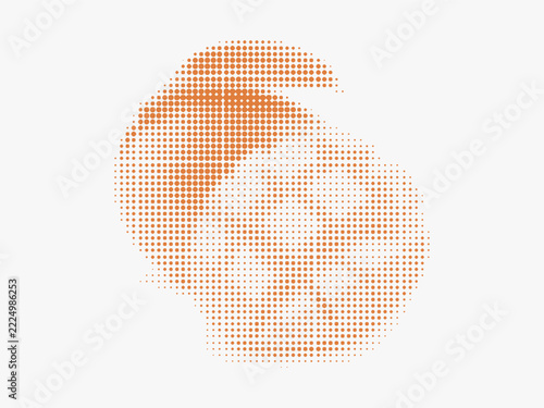 Halftone orange fruit silhouette against a white background representing a citrus concept for healthy eating and fresh produce
