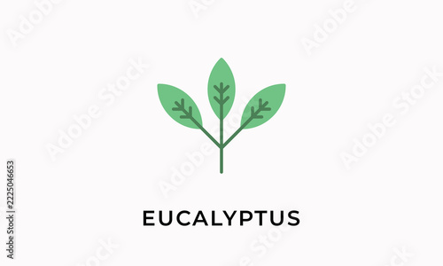 Eucalyptus Vector Icon Isolated On White Background        