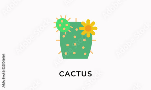 Cactus Vector Icon Isolated On White Background        