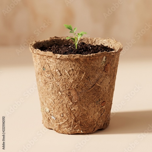 Eco Friendly Seedling Pot Design