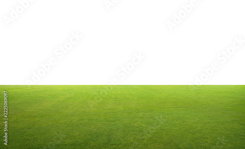 Green grass lawn field with transparent background