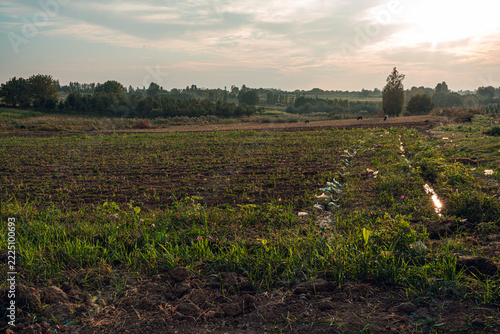 A tranquil rural scene captures expansive farmland under a setting sun, casting a warm glow over the landscape. The horizon is dotted with trees, adding depth to the countryside view.