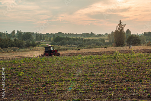 A tractor works diligently in a vast rural field under the warm glow of a sunset. The serene landscape, dotted with trees and cattle, epitomizes pastoral tranquility.