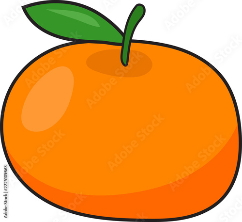 Cute Orange Fruit Vector