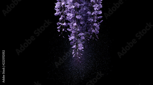 Particle Wisteria on Black Background