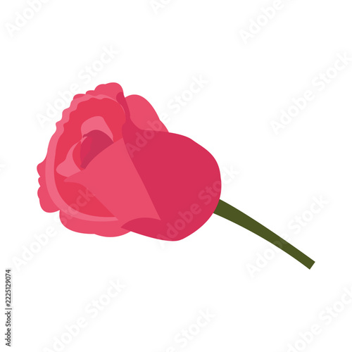 Pink rose flower vector illustration with green stem and leaves for romantic valentines day gift