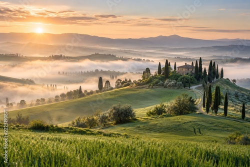 Cypress trees and rolling green spring fields softened by golden morning mist