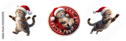 Cute Christmas cats wearing Santa hats in playful poses isolated