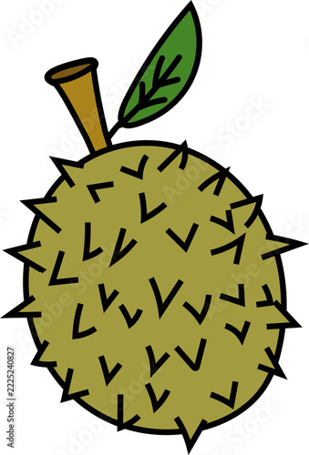 Durian Fruit Vector