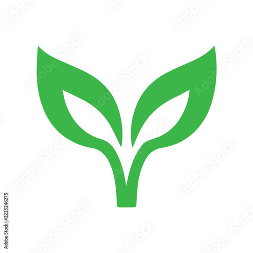 green plant silhouette