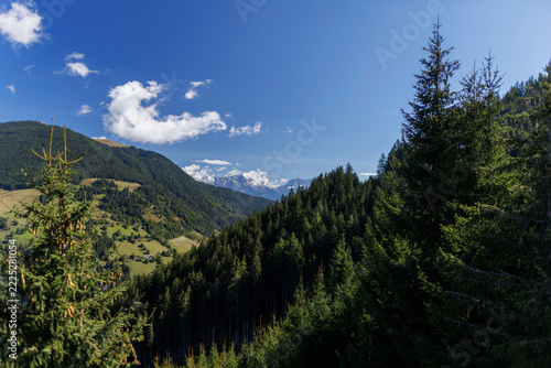 Fotografie A valley in the Austrian Salzburgerland with dark green spruce forests covering the slopes