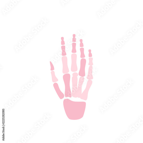 Halloween Skeleton Hand Bones Icon
