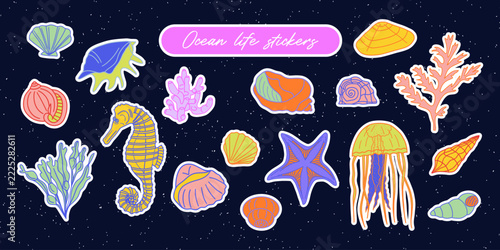 Colorful hand-drawn doodles set of marine creatures and seashells. Stickers with a white outline, vector line art. Ocean life, marine topics