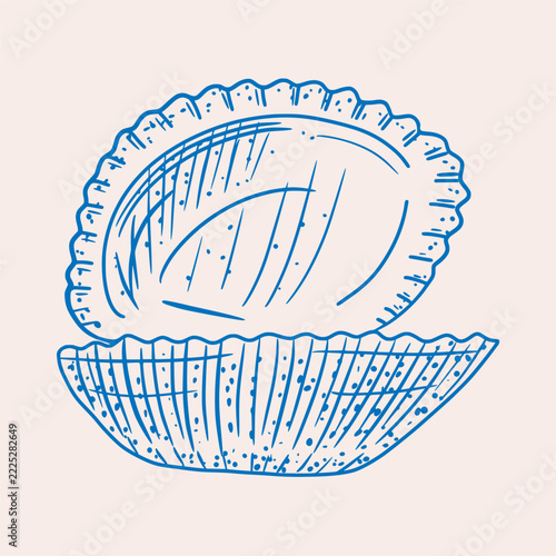 A minimalist sketch of an open seashell in blue ink with hatching and speckles. Hand-drawn illustration. Marine, ocean, tropical, travel, vacation topics