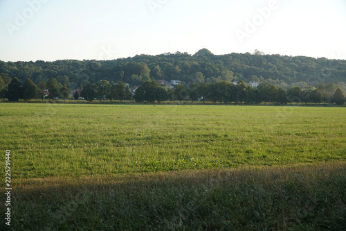 One of the large meadow areas in the Park Lotnikow Polskich in Krakow
