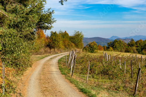Dirt road winding through picturesque rolling hills in Western Serbia in autumn