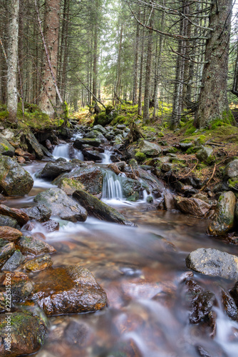 Long-exposure shot of a stream flowing through a mountain forest in Styria, Austria