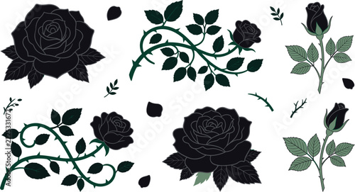 Dark Gothic Black Rose Flower Vector Illustration Element Set Featuring Thorny Vines Creepers Buds Floating Petals and Leaves for Witchy Halloween Designs