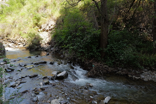 Armenia, Nature, and Life