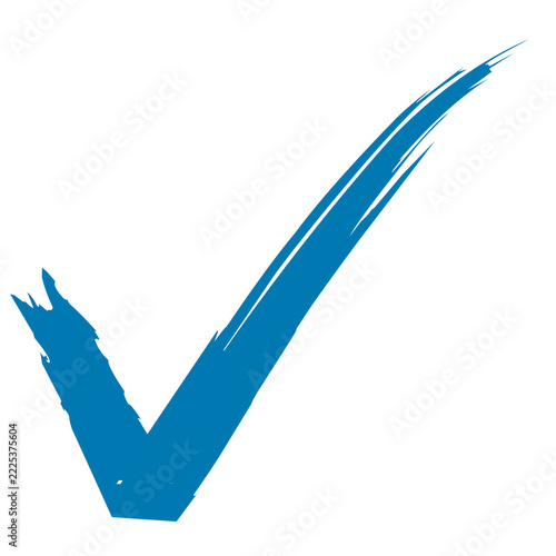 blue check mark brush