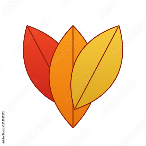 Autumn leaf trio red orange gold isolated on transparent background