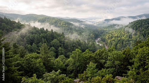 Scenic View of Lush Green Mountain Valley with Atmospheric Morning Mist and Dense Forest Landscape