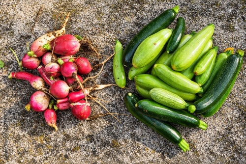 Freshly harvested radishes with soil and pile of green zucchinis arranged on rough concrete surface in natural daylight, top-down view, vibrant colors and textured skins