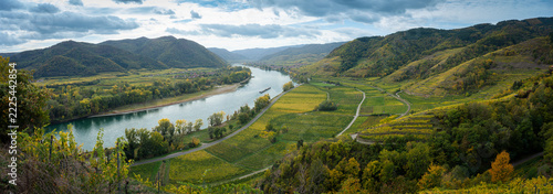 Panoramic view over golden autumn vineyards and Danube river loop with barge in Wachau valley Austria