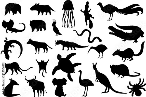 Black Animal Silhouette Collection, Wildlife Birds Reptiles and Insects Vector Set