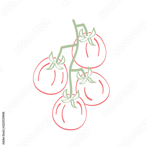 Sprig of cherry tomatoes on a white background. Hand drawn vector illustration, doodle.