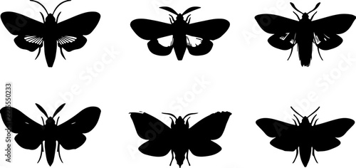 Black Butterfly and Moth Silhouette Vector Set, Collection of Six Flying Insect Shapes