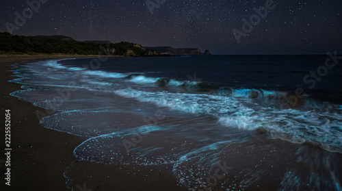 Natural Bioluminescence Along a Dark Ocean Shore