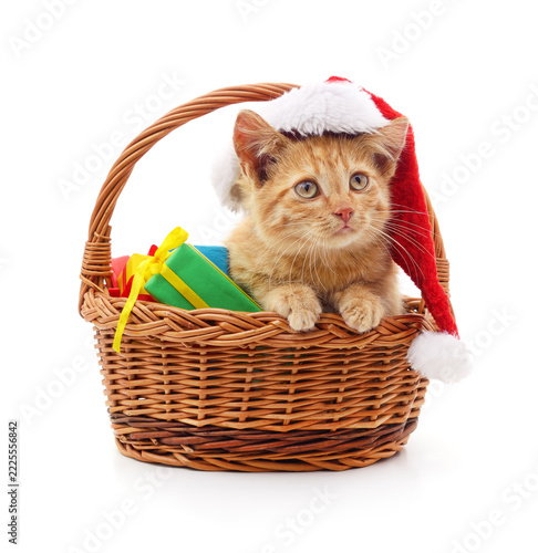 Ginger kitten in a santa hat sitting in a basket with gift boxes isolated on white background.