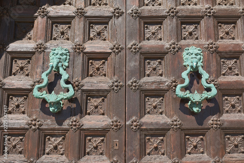 A close-up view of a historic wooden double door adorned with intricate square carvings and two turquoise lion head door knockers.