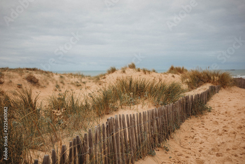 Sand dunes in Saint gilles Croix De vie, Vendee, Pays De La Loire.