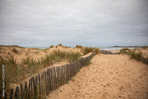 Sand dunes in Saint gilles Croix De vie, Vendee, Pays De La Loire.