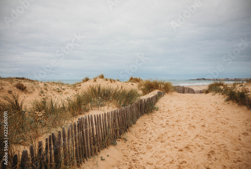 Sand dunes in Saint gilles Croix De vie, Vendee, Pays De La Loire.