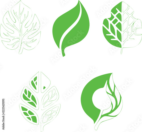 Green-Leaf Botanical-Vector Icons